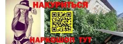 прущие крисы Будённовск