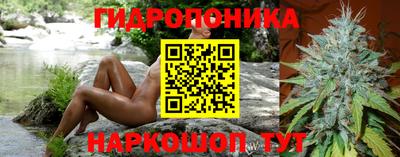прущие грибы Бузулук