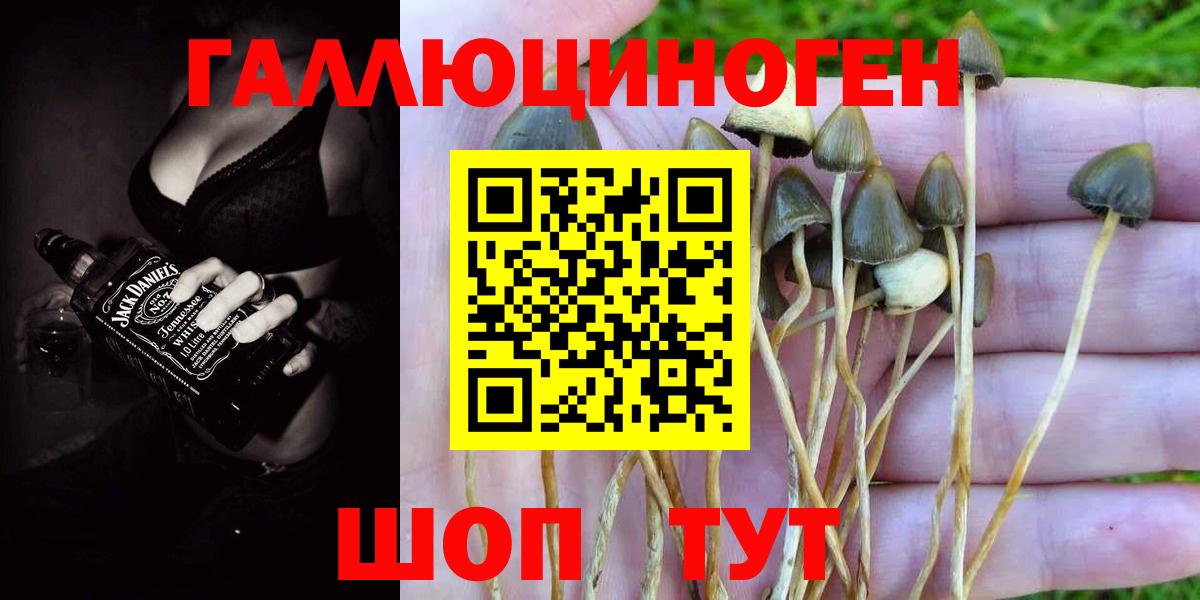 Рассказово  Псилоцибиновые грибы мицелий  Вход с VPN 